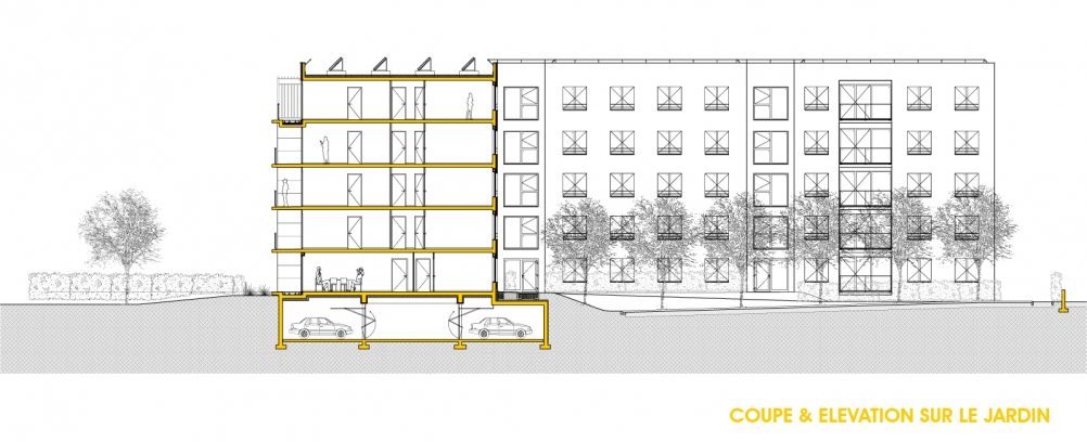 margerie & pasquet - Phénix Caen - coupe